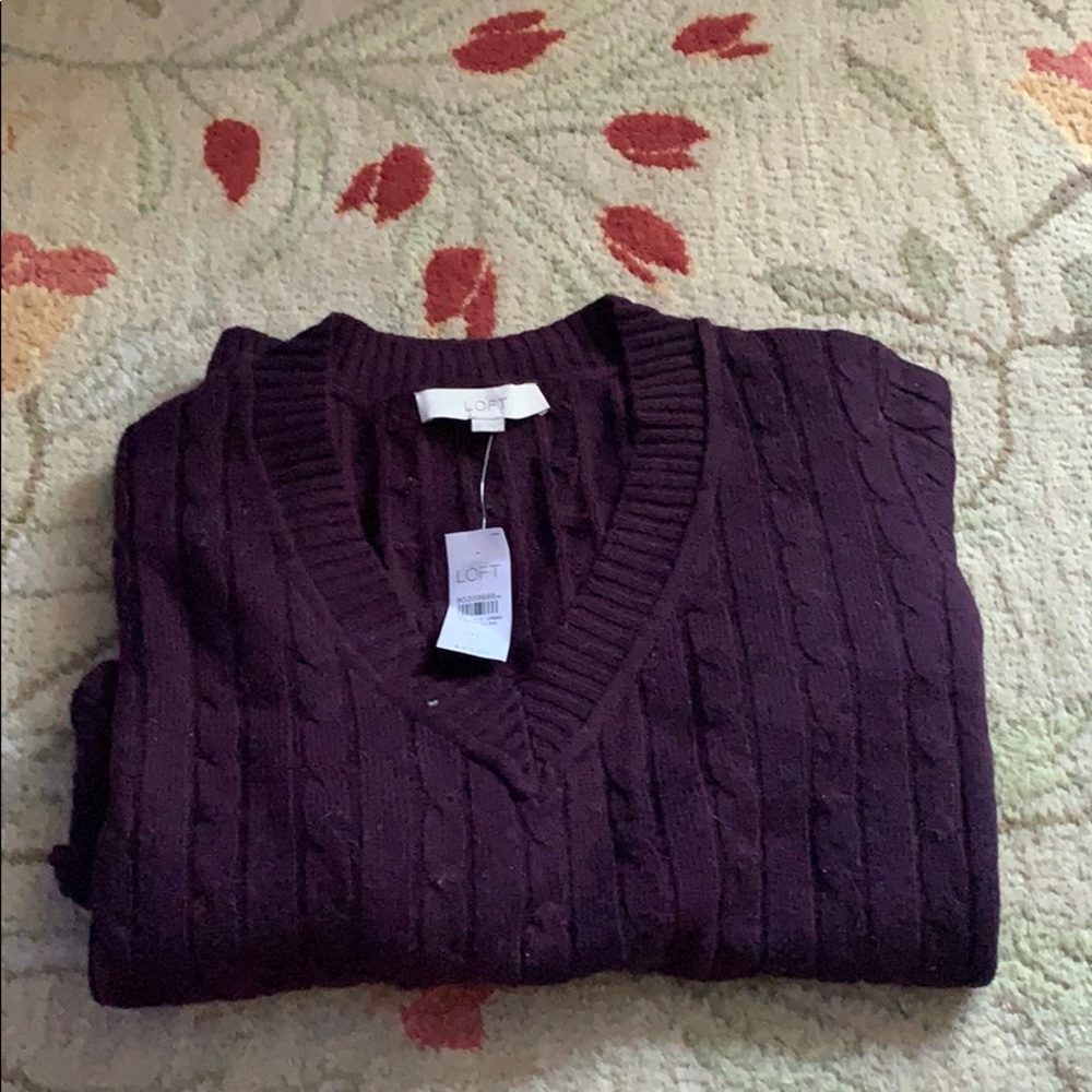 Never Worn V-Neck Sweater from Loft
